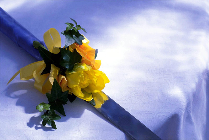 画像4:サンプル4